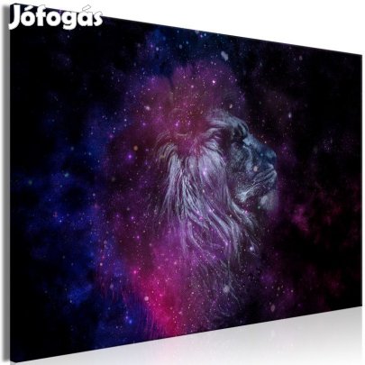 Kép - Kozmikus Oroszlán
