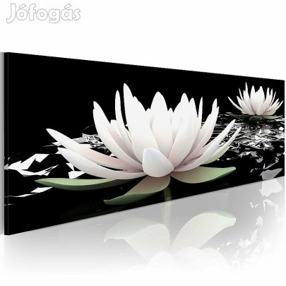 Kép - Lili körutazása