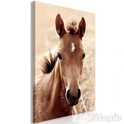 Kép - Lobogó sörény