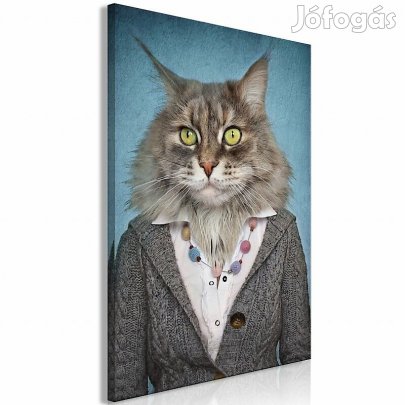 Kép - Macska asszony