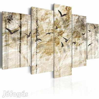 Kép - Madarak az erdő felett