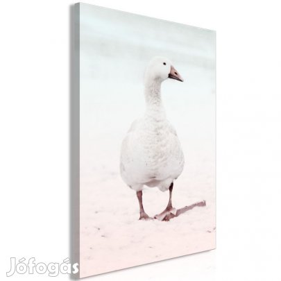 Kép - Magányos kacsa
