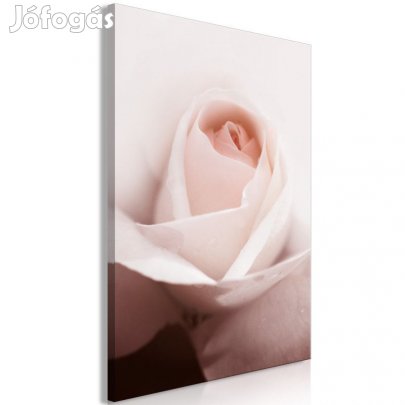 Kép - Magányos rózsa