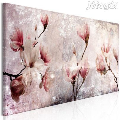 Kép - Magnólia varázsa