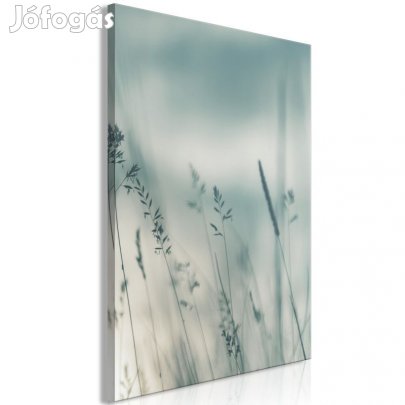 Kép - Mezőn járva