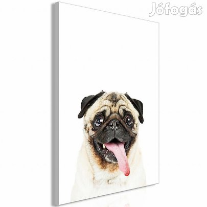 Kép - Mopszli lBEmqLk0tNf