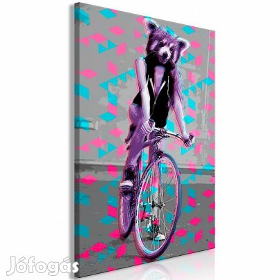 Kép - Mosómedve a kerékpáron