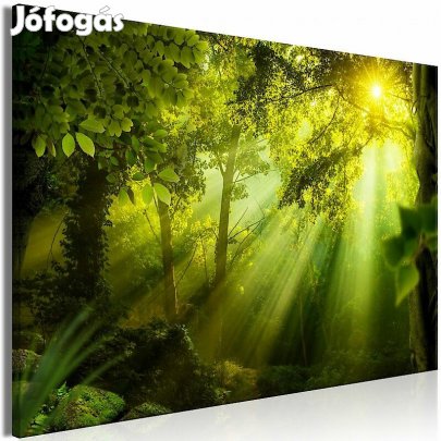 Kép - Napsütés az erdőben (széles 1 darabban)