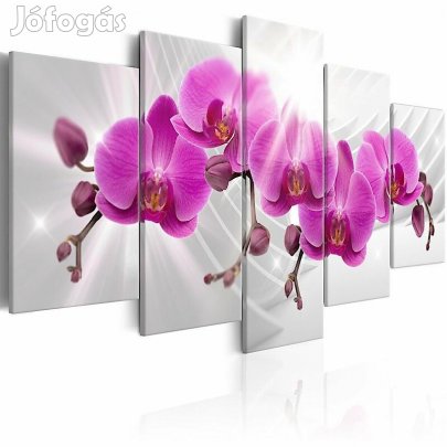 Kép - Orchidea kert 1