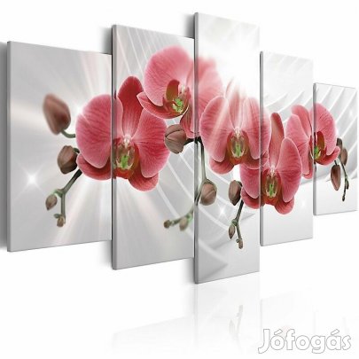 Kép - Orchidea kert 3