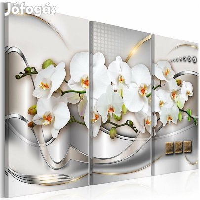 Kép - Orchidea ösvény 6