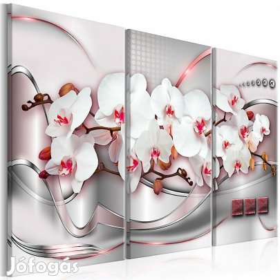 Kép - Orchidea ösvény 7