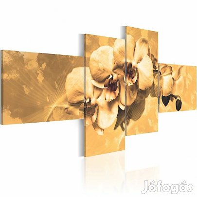 Kép - Orchideák a szépia