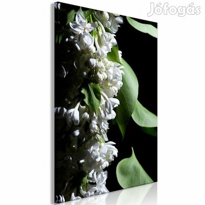 Kép - Orgona részletei