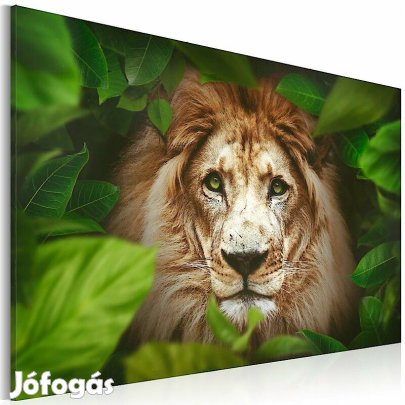 Kép - Oroszlán a dzsungelben