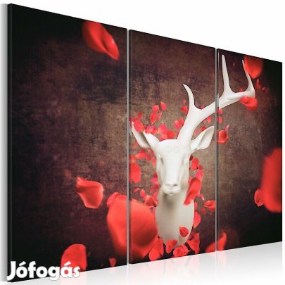 Kép - Ősszel GZCf1mNCdC9