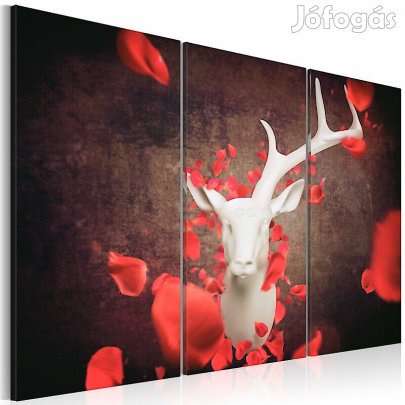 Kép - Ősszel oqARWhpD3J6