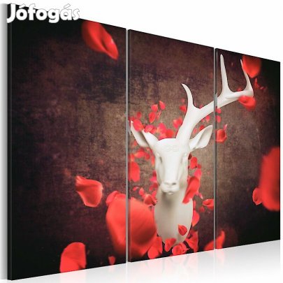 Kép - Ősszel yuqxxAONgc4