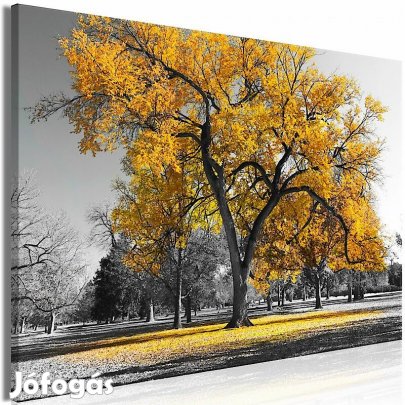 Kép - Ősz a parkban (aranysárga)