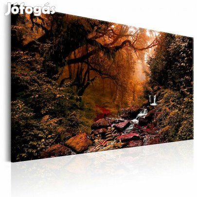 Kép - Őszi erdő patakkal