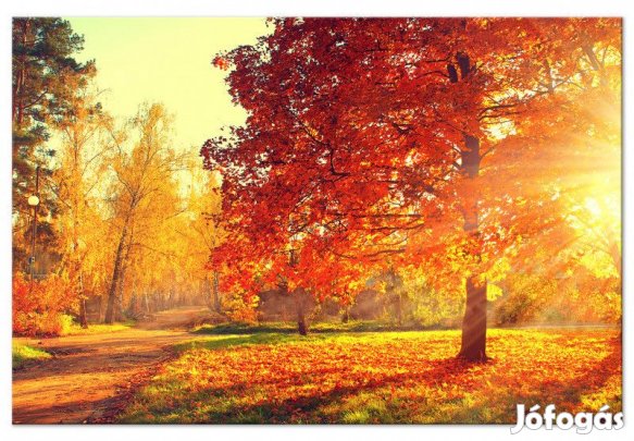 Kép - Őszi napsütés