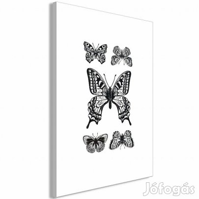 Kép - Öt pillangó