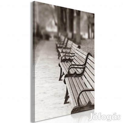 Kép - Padok a parkban