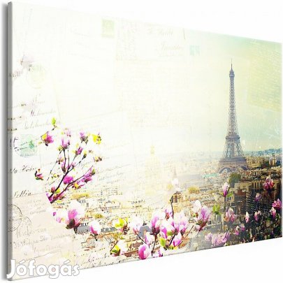 Kép - Párizs virágos mintával (1 darabban)