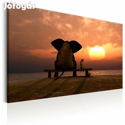 Kép - Pihenő elefánt