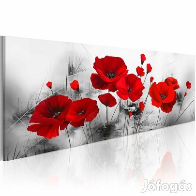 Kép - Pipacsok szürke kertben