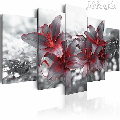 Kép - Piros - fehér Liliom