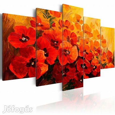 Kép - Piros mákvirágok