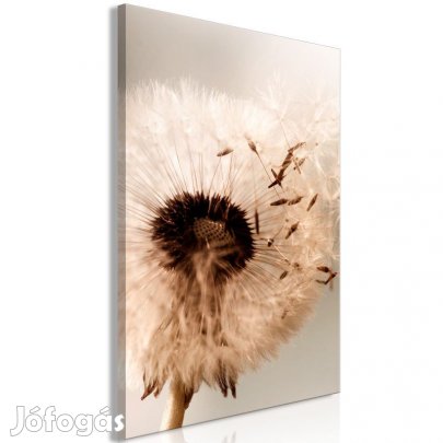 Kép - Pitypangi szárnyalás