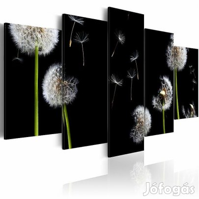 Kép - Pitypangok fekete háttérrel 2