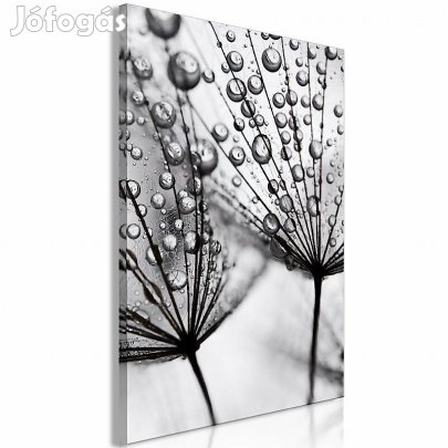 Kép - Reggeli harmat