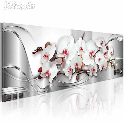 Kép - Rendezett Orchideák 1