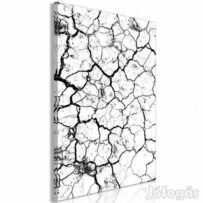 Kép - Repedt föld