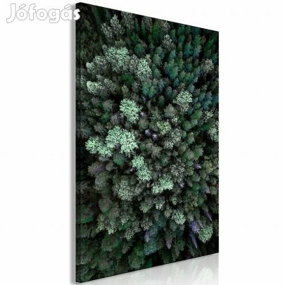 Kép - Repülés az erdő felett