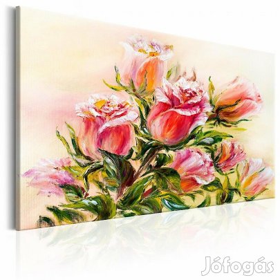 Kép - Rózsák 7UDNslYDMQ