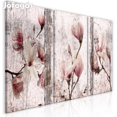 Kép - Rózsaszín magnóliák