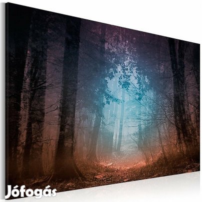 Kép - Sejtelmes erdő 2