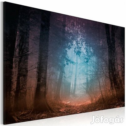 Kép - Sejtelmes erdő 2