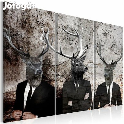 Kép - Szarvas trió 4