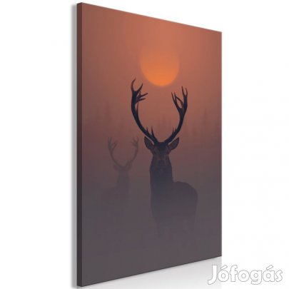 Kép - Szarvasok a ködben