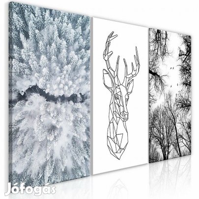 Kép - Szarvasok élete (gyűjtemény)