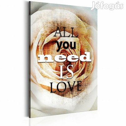 Kép - Szerelmi rózsa