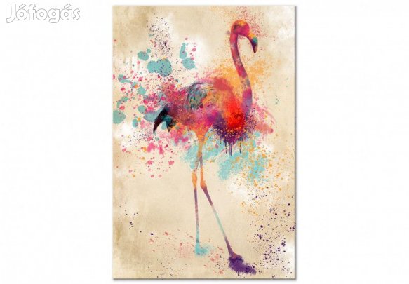 Kép - Színes Flamingó