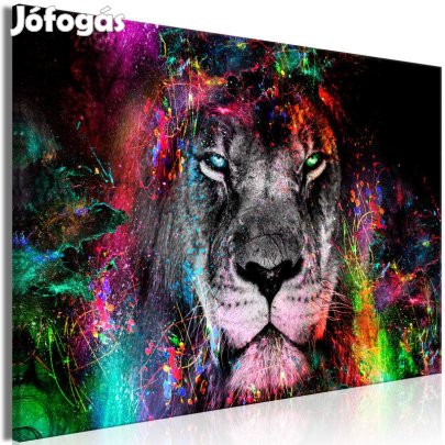 Kép - Színes oroszlán 7