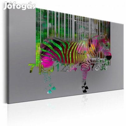 Kép - Színes zebra