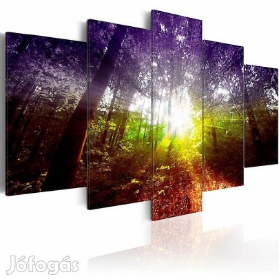 Kép - Szivárvány erdő